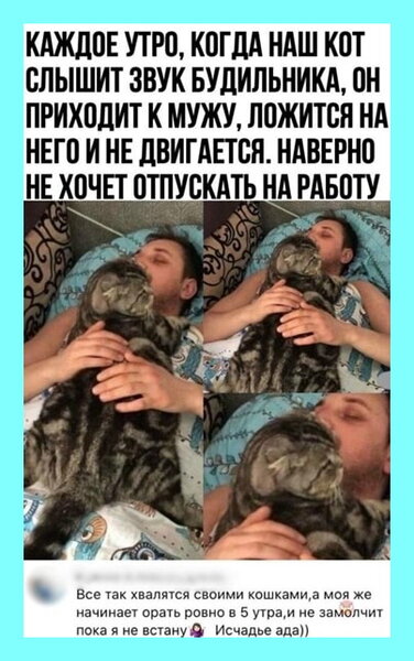 127da03e55b973e581edd71ecc56abd7c65d0f0de6f1d18e8cf3dac72b25ccf2_1[1].jpg