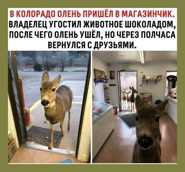 fe1DJD37QUU[1].jpg