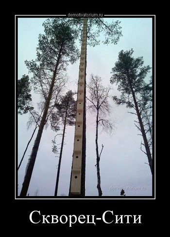 %D0%B8%D0%B7%D0%BE%D0%B1%D1%80%D0%B0%D0%B6%D0%B5%D0%BD%D0%B8%D0%B5_viber_2020-02-11_01-29-02[1].jpg