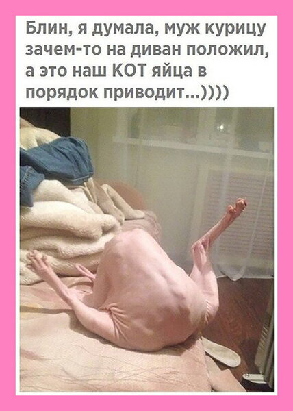 %D0%B8%D0%B7%D0%BE%D0%B1%D1%80%D0%B0%D0%B6%D0%B5%D0%BD%D0%B8%D0%B5_viber_2020-02-10_19-12-18[1].jpg