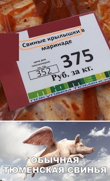 _a-26%20%282%29[1].jpg
