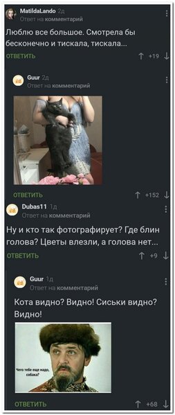 15023496[1].jpg