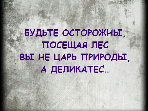 IMG-aab36941aa37c307374d4b2b3b4bd484-V%20%281%29[1].jpg